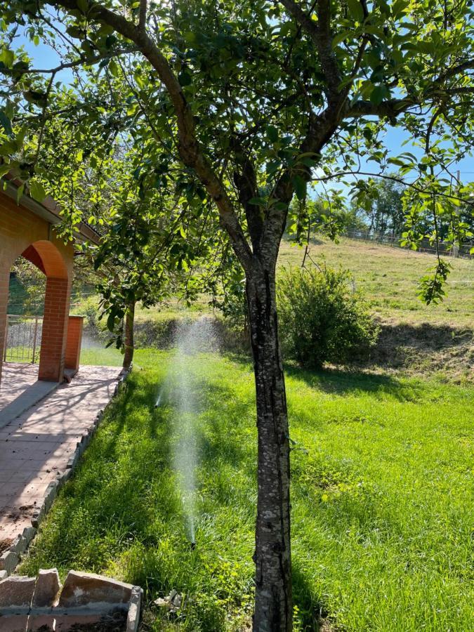 Luxury Villa Arianna Tarano Buitenkant foto