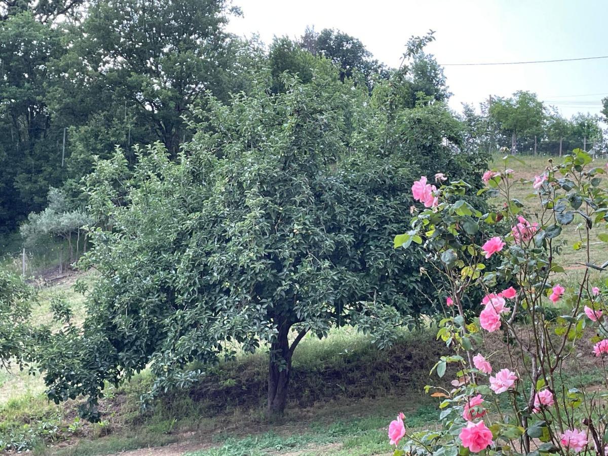 Luxury Villa Arianna Tarano Buitenkant foto